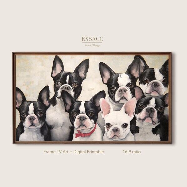 Boston Terrier Dog Frame TV Art, works as desktop wallpaper, includes high quality printable for Download