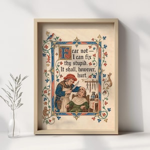 May include: A framed medieval-style print featuring a person in a blue tunic and white apron holding a knife over another person. The text reads: Fear not—I can fix thy stupid. It shall, however, hurt. The border is decorated with floral motifs.