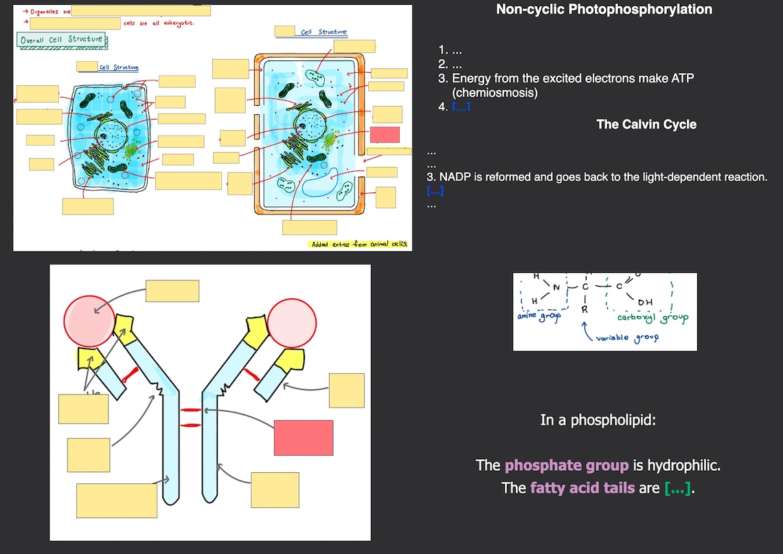 A Level Biology Anki Flashcards AS and A2 Content Etsy