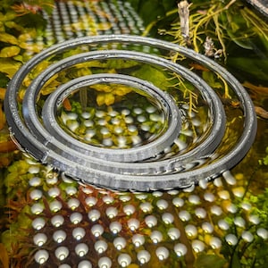 Aquarium Floating Feed Ring / Plant Ring (Sizes 4", 6", 8") Self Leveling Glass Mount
