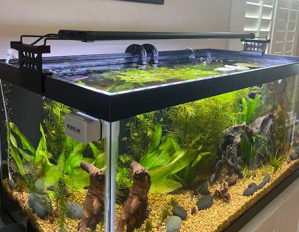 【新品】FLUVAL SmartAPP MARINESPECTRUM LED 新品】FLUVAL SmartAPP MARINESPECTRUM LED 【公式通販】