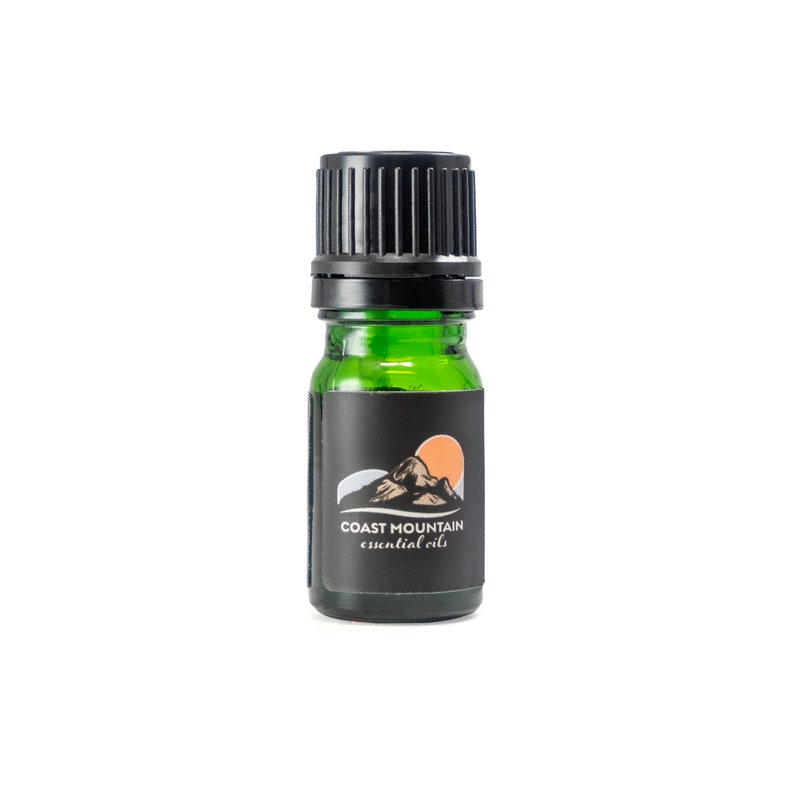 Ponderosa Pine Essential Oil 5ml image 4