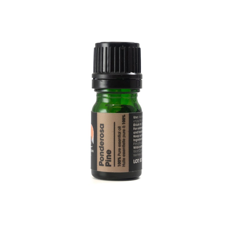 Ponderosa Pine Essential Oil 5ml image 1