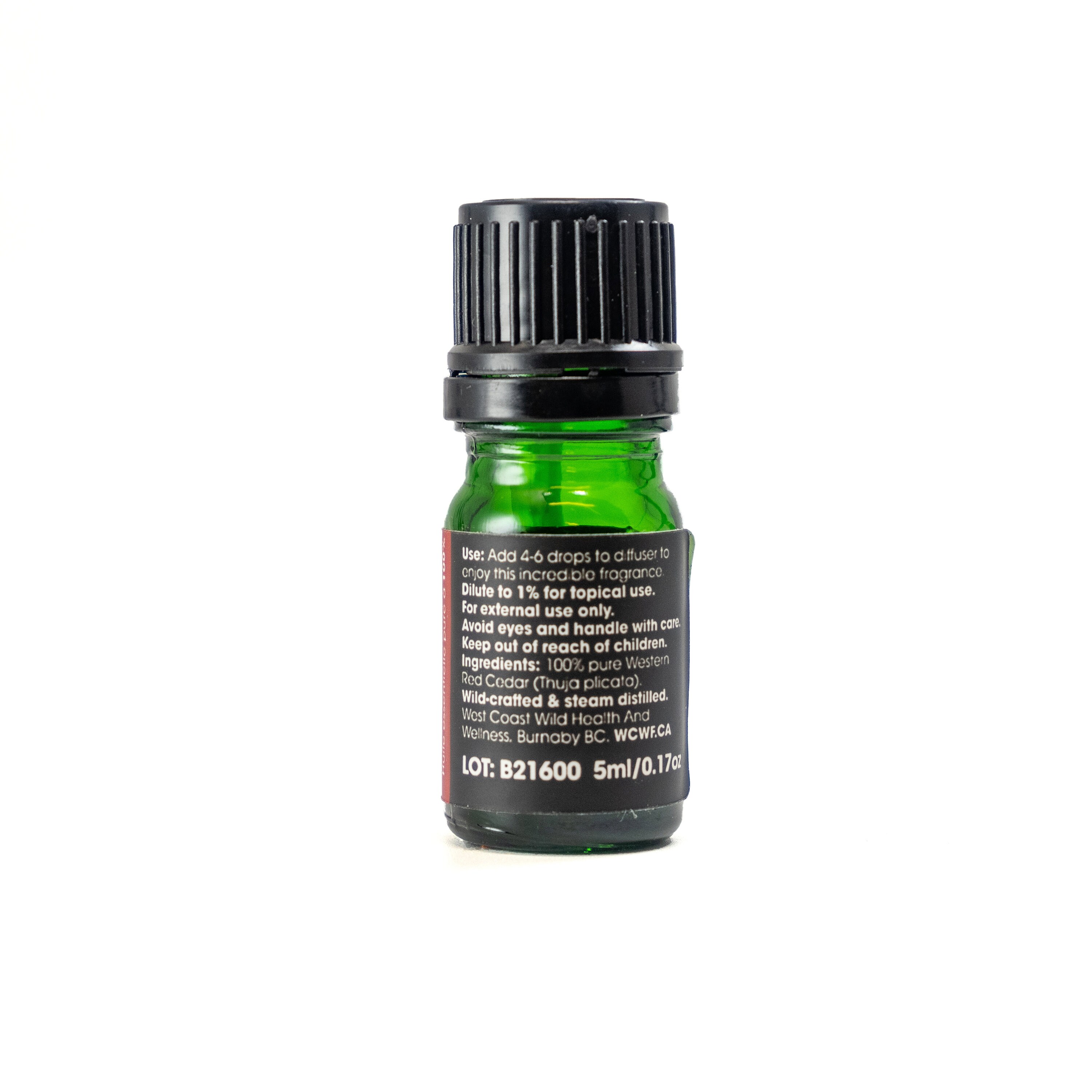 Western Red Cedar Essential Oil 5ml Etsy
