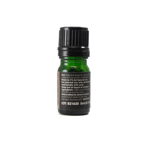 Ponderosa Pine Essential Oil 5ml image 3