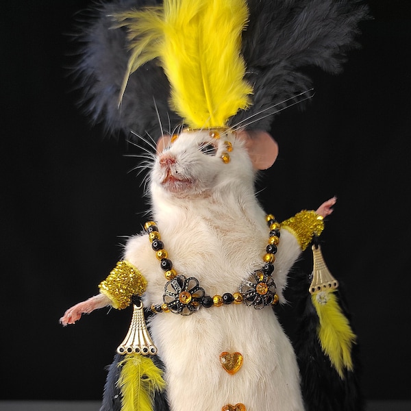 Taxidermy Showgirl Mouse - Etsy