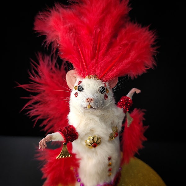 Taxidermy Showgirl Mouse - Etsy