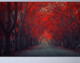 Red Leaves Forest Canvas Wall Art,Beautiful Red Tree Park Print,Landscape Canvas Print Art,Modern Wall Art,Living Room Home Wall Decor Print