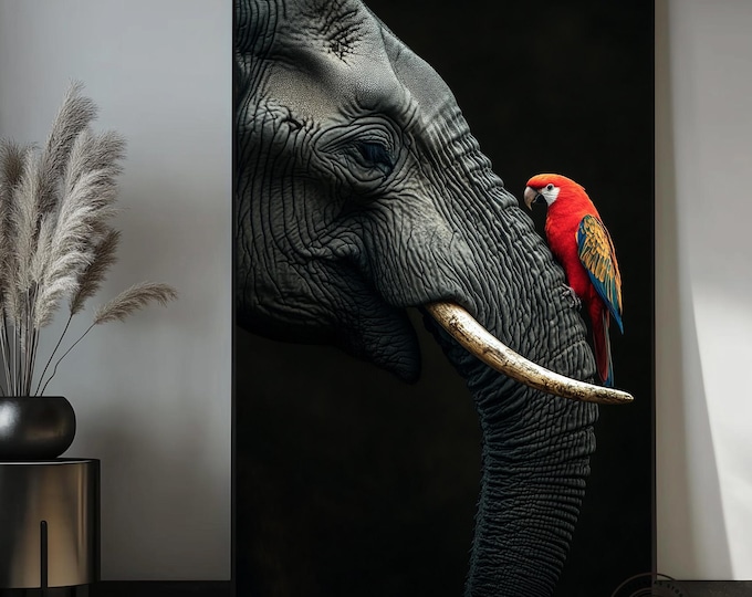 Elephant Parrot Wildlife Canvas Art – Dramatic Black Background Statement Decor