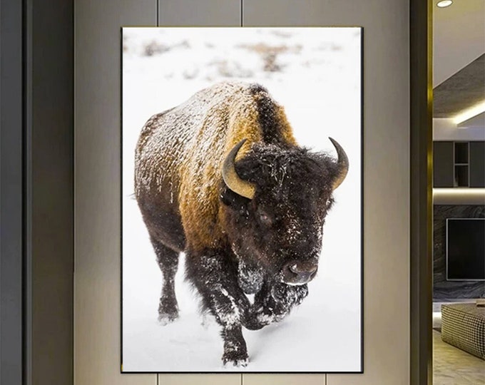 American Buffalo in Snow Original Pictures Art, Buffalo Wall Art, Buffalo Wall Decor, Buffalo Canvas Home Decor, Buffalo Office Print Decor