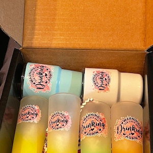 2 mini tumblers and 4 shot glasses (Set of 6)