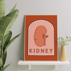 Kidney Anatomy Printable Wall Art