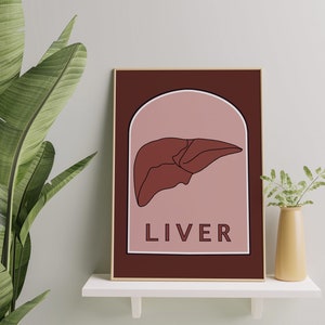 Liver Anatomy Wall Art Printable