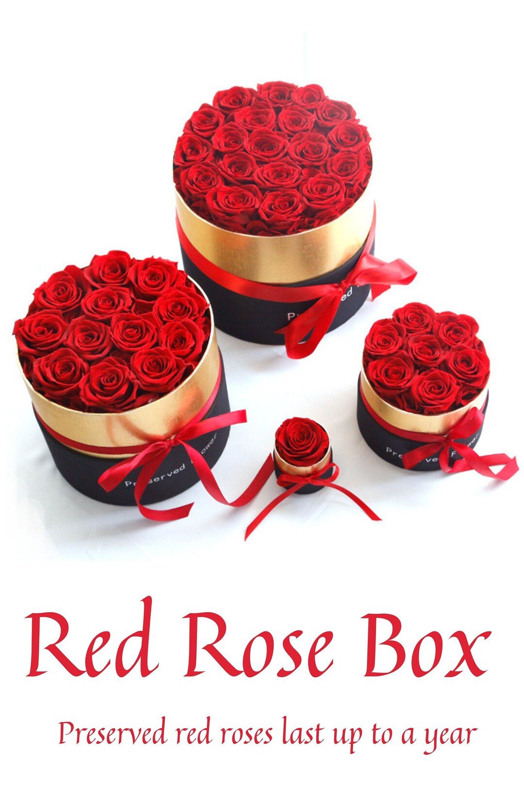 Real Preserved Roses in a Box Red Roses, Mothers Day Gifts, Rose Box