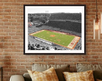 Clemson football, clemson university, Football stadium, Death Valley, Clemson Memorial Stadium,  Frank Howard Field