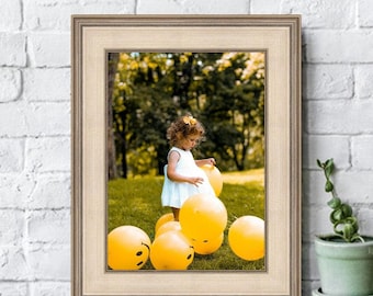 3 Inch Wide Silver Traditional Picture Frame