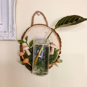 Magnetische wandhanger paddenstoelplant | Handgemaakte plantenbak | Unieke houten plantenbak