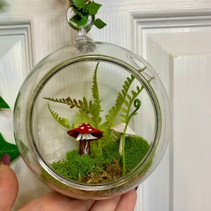 Może przedstawiać: Szklany terrarium w kształcie kuli z miniaturową sceną leśną. Terrarium zawiera zielony mech, paprocie i dwie małe figurki grzybów, jedna czerwono-biała, druga biała.