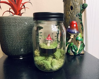 Tiny Mushroom Terranium | mushling companion | unique decor