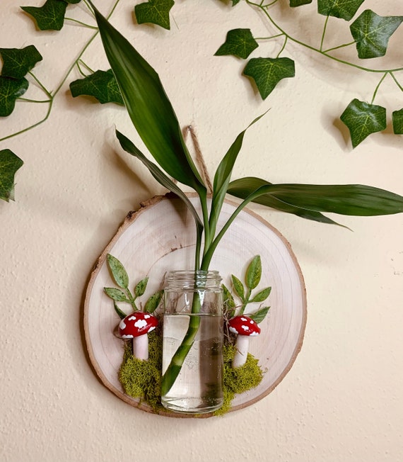 buy silver leaf philodendron roch ny 4
