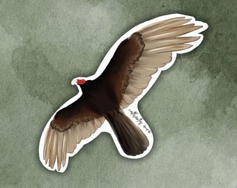 Turkey Vulture (cathartes aura) Bird Sticker