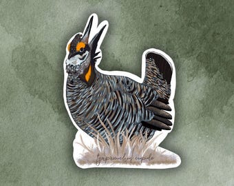 Prairie Chicken (tympanuchus cupido) Bird Sticker