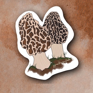 Morel Mushroom (morchella) Plant Sticker