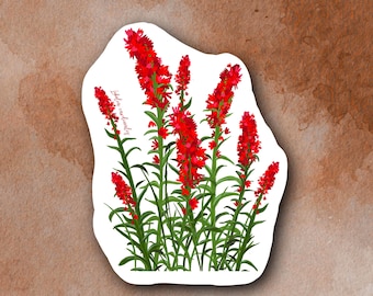 Cardinal Flower (lobelia cardinalis) Plant Sticker