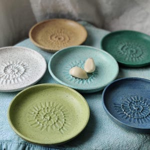 May include: A collection of six ceramic garlic graters in various colors: white, tan, green, blue, and teal. Each grater features a spiral design for grating garlic. Two garlic cloves rest on one of the teal graters.