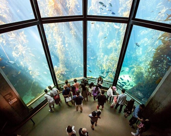 Monterey Bay Aquarium Ticket Etsy