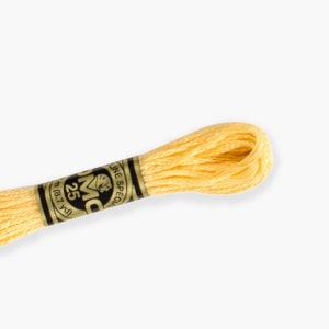 DMC Orange Range - DMC Stranded Cotton