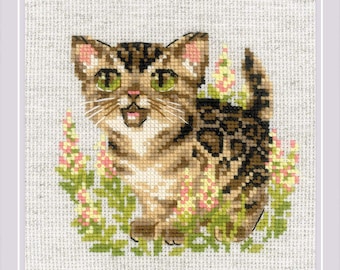 Kit punto croce Riolis - Gattino del Bengala, 2119