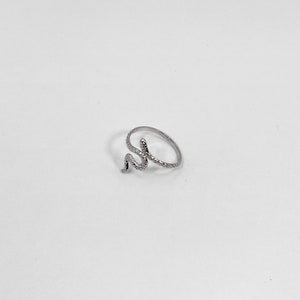 May include: A silver snake ring with a textured finish.
