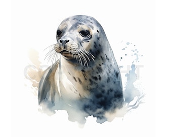 Seal Clipart | 8x JPGs | Seal Clip Art Watercolor | Digital Download for Card Making, Scrapbooking and Paper Craft