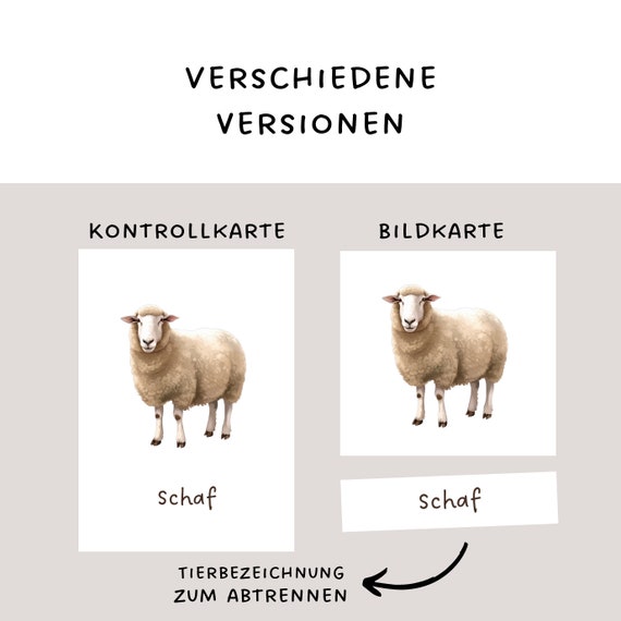Kisd Lernkarten Tiere/Transport/Flaggen - 24 Stück, Wasserdicht, Für Kinder Ab 2 Jahren