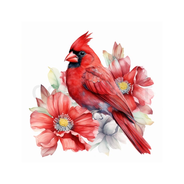 Red Cardinal Clipart | 8 JPGs | Red Cardinal Bird Clip Art Watercolor | Digital Download for Card Making, Scrapbooking and Paper Craft