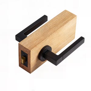 Unique Door Handles Lever - Black - Interior - Modern