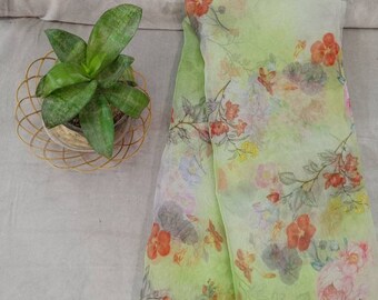 Organza based indian dress