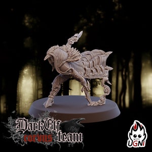 Dark Elves Team - Assasin V2 -Fantasy Football compatible