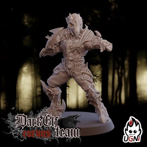 Dark Elves Team - Blitzer V2 -Fantasy Football compatible
