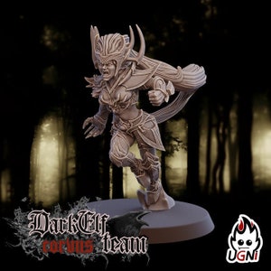 Dark Elves Team - Witch -Fantasy Football compatible