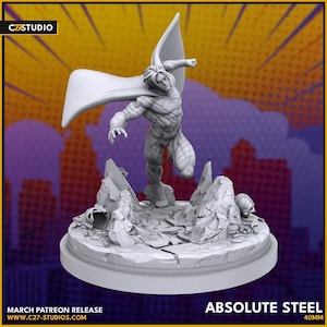 Absolute steel-40mm- C27 miniatures - Hero - RPG