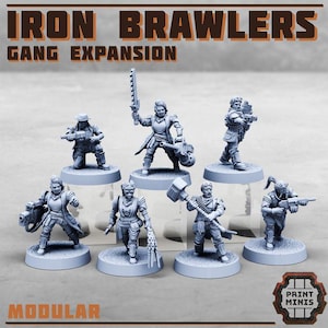 Iron Brawlers Gang Expansion -Cyberpunk – Scifi - 28mm – RPG
