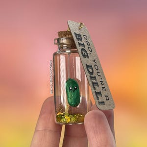Regalo per la festa del papà, Papà sei un grande aneto, Piccolo messaggio in bottiglia, Piccolo regalo, Miniature, Alternativa alla carta, Piccola bottiglia del tesoro, Cetriolo