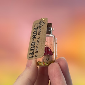 Vaderdagcadeau, papa, je bent een leuke vent, klein bericht in een fles, klein cadeau, miniaturen, alternatief voor kaarten, kleine schatfles