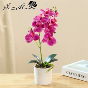 May include: A potted artificial orchid plant with pink flowers and green leaves. The plant is in a white ceramic pot.