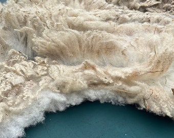 Raw Wool Fleece | Etsy