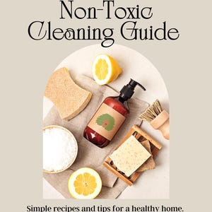 May include: A beige-toned image featuring a DIY Non-Toxic Cleaning Guide. The image includes a brown bottle with a pump, a half lemon, a sponge, a wooden soap dish with soap, a bowl of salt, and a small brush. Text reads: Simple recipes and tips for a healthy home. Alexis M. Crawford.