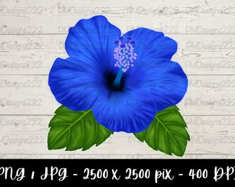 青いハイビスカスの花 - PNG、JPG - 印刷可能なデジタルダウンロード