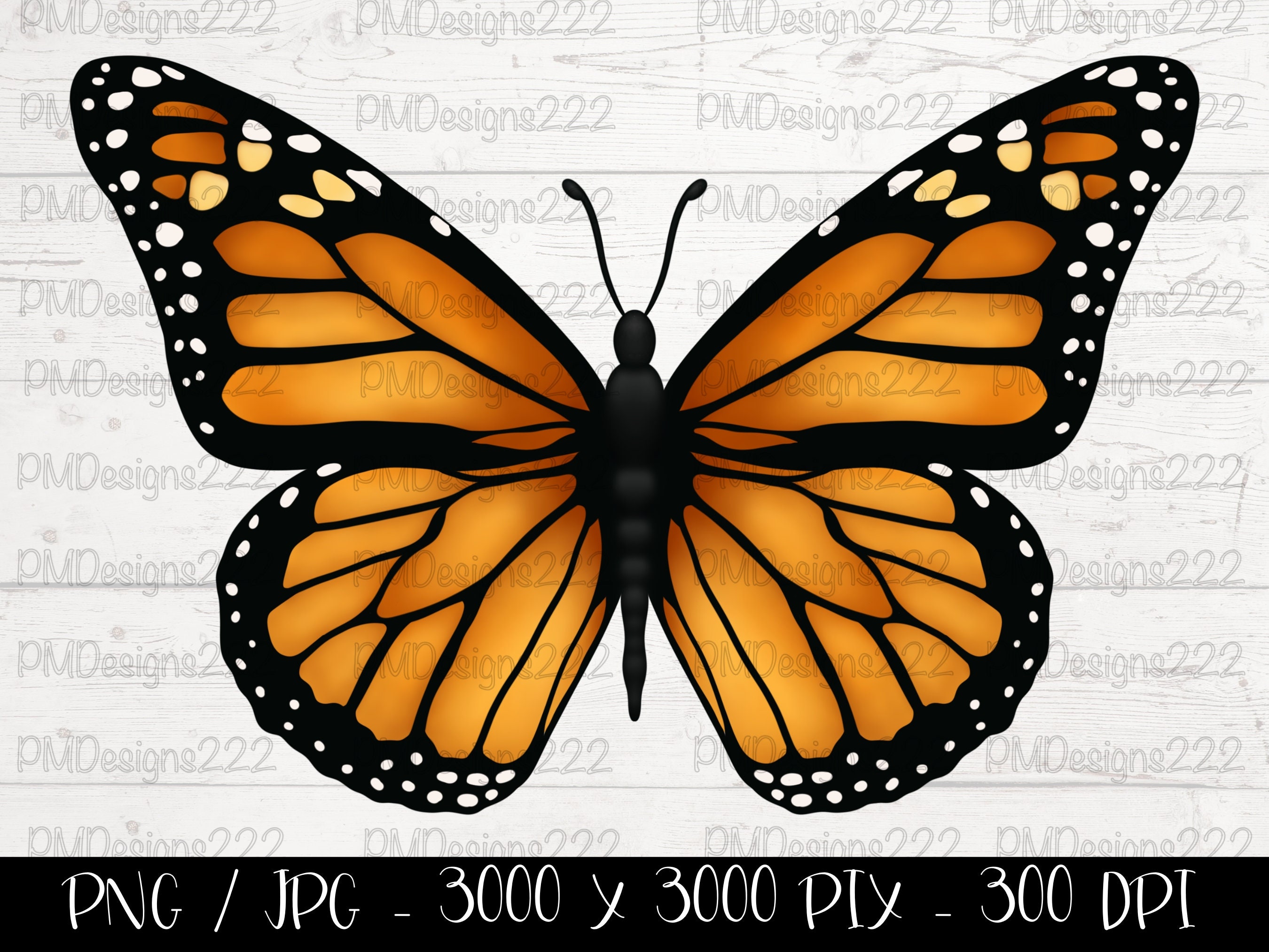 Monarch Butterfly Png, Butterfly Png, Butterfly Clipart, Butterfly